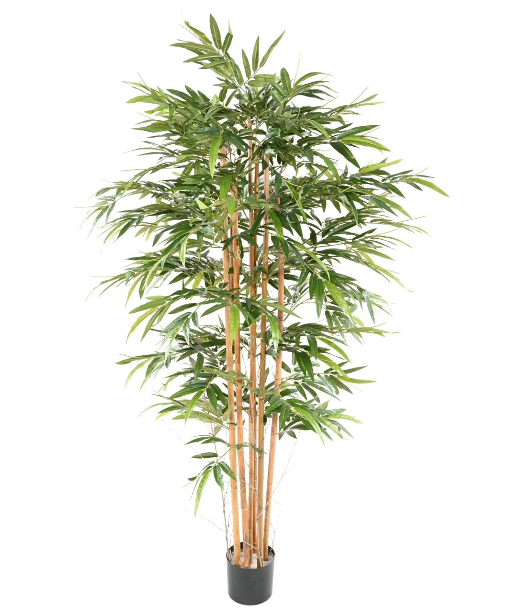 Kunstbambus ECO 3 200 CM