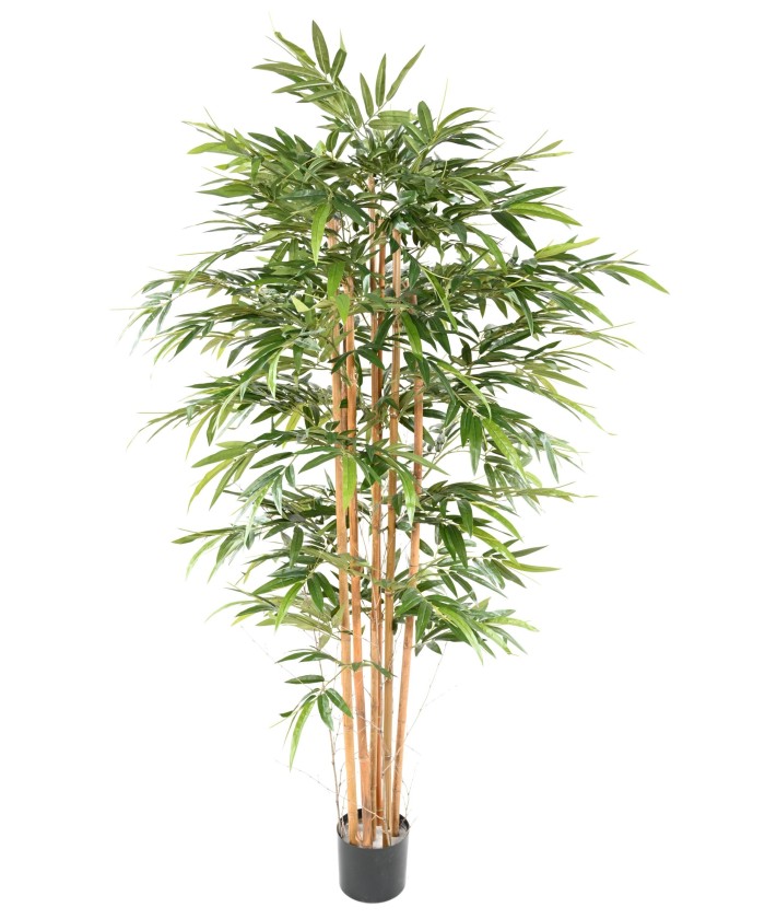 Artificial BAMBOO ECO 3 200 CM