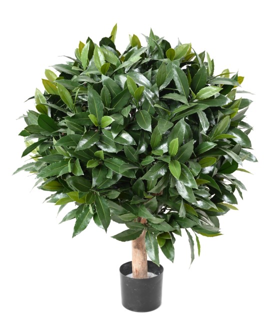 Artificial BAY LAUREL NEW BALL UV