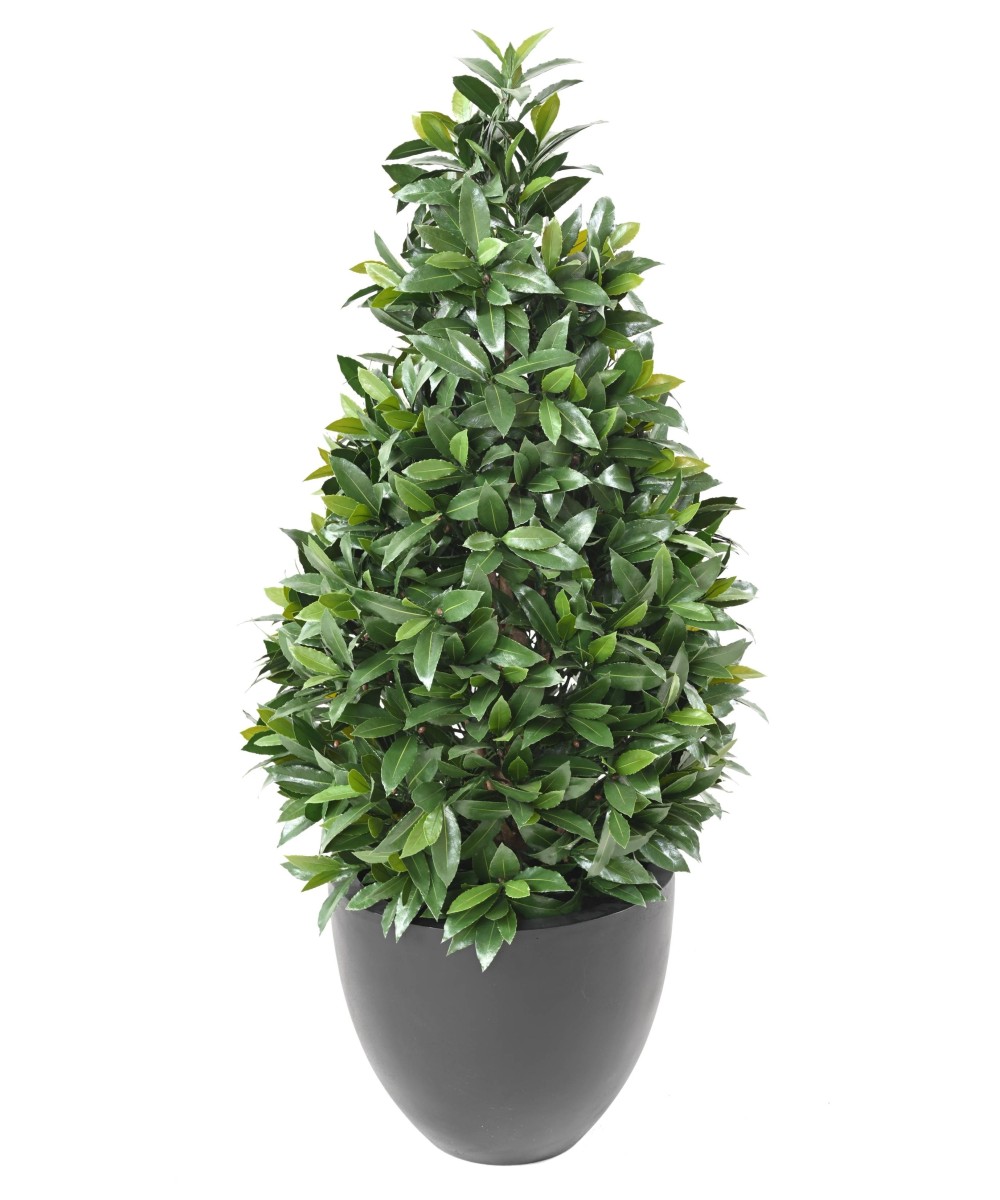 Artificial BAY LAUREL NEW LARGE CONE UV