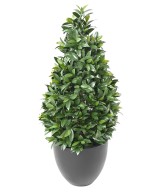 Artificial BAY LAUREL NEW LARGE CONE UV