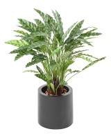 Kunstlill Calathea 90 CM potis