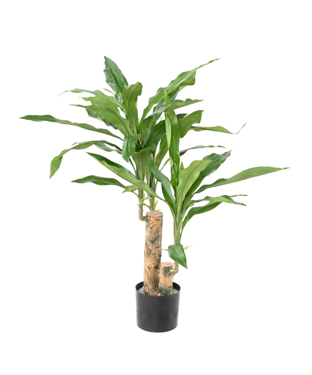Kunstlik lõhnav dracaena (Dracaena Fragrans)