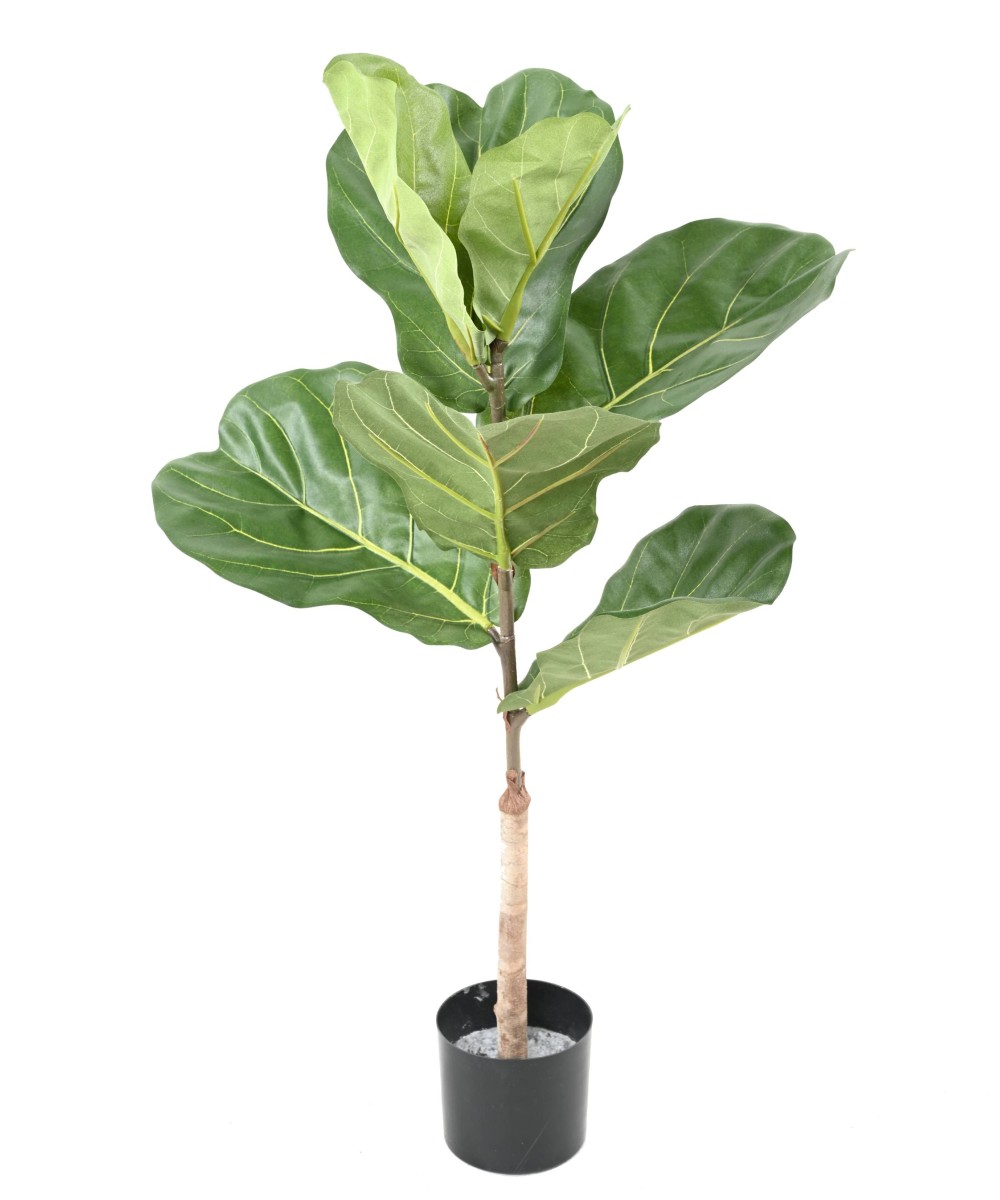 Artificial LYRATA