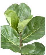 Artificial LYRATA