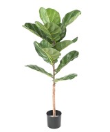 Artificial LYRATA