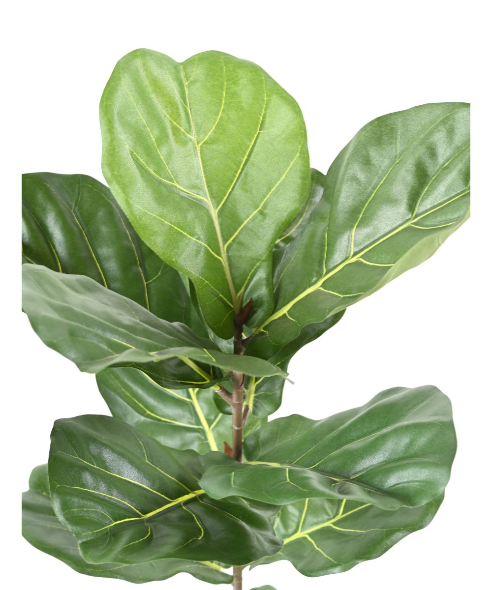 Artificial LYRATA