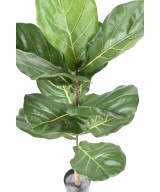 Artificial LYRATA