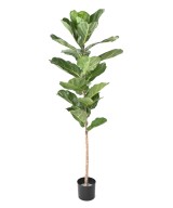 Artificial LYRATA