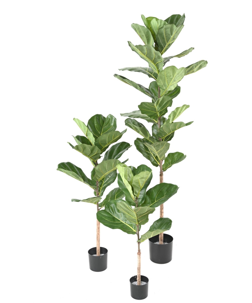Artificial LYRATA