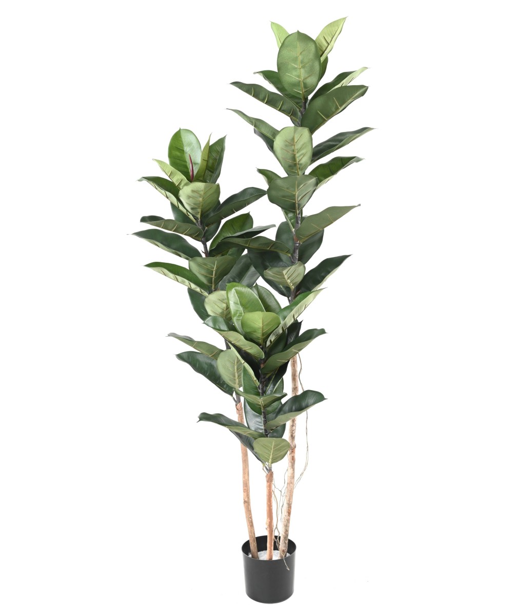 KUNSTKUMMIST TAIM 170 CM