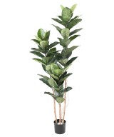 KUNSTKUMMIST TAIM 170 CM