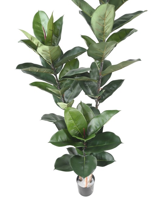KUNSTKUMMIST TAIM 170 CM