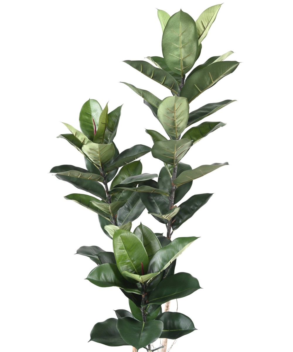 KUNSTKUMMIST TAIM 170 CM