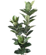 KUNSTKUMMIST TAIM 170 CM