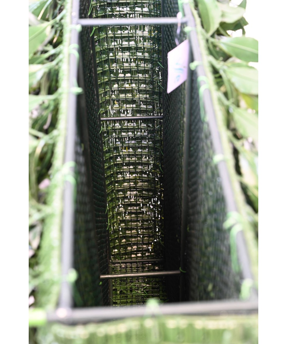 Artificial BAY LAUREL NEW HEDGE UV
