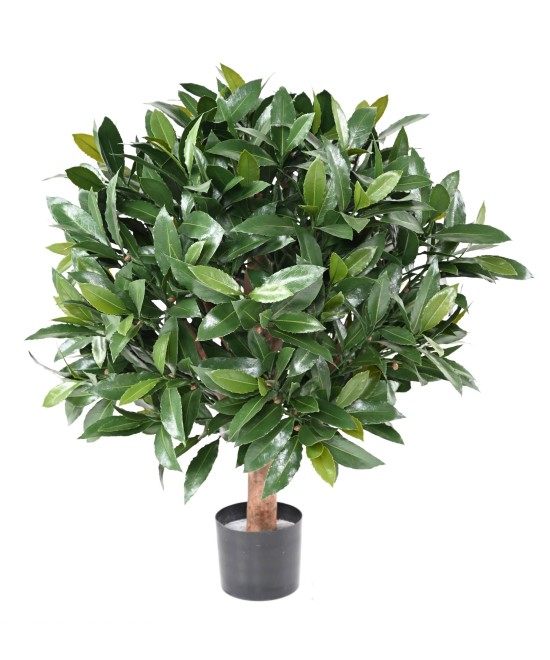 Artificial BAY LAUREL NEW BALL UV