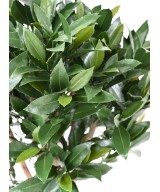 Artificial BAY LAUREL NEW STEM BALL 130 UV