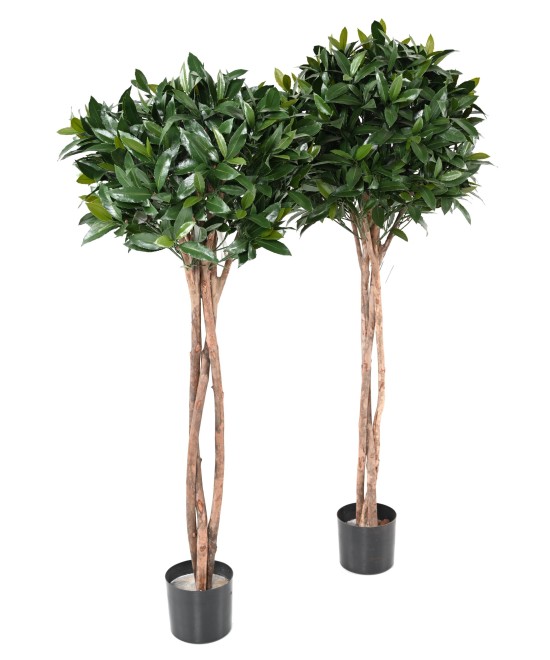 Artificial BAY LAUREL NEW STEM BALL 130 UV
