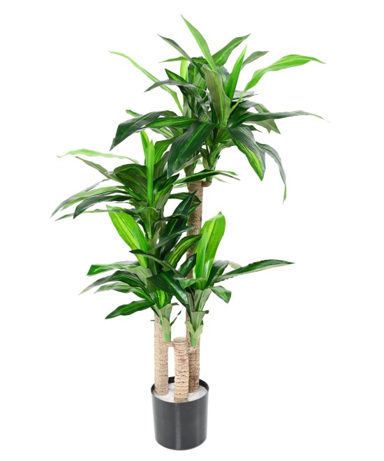 Kunstlill DRACAENA FRAGRANS 135 (tüvedel)