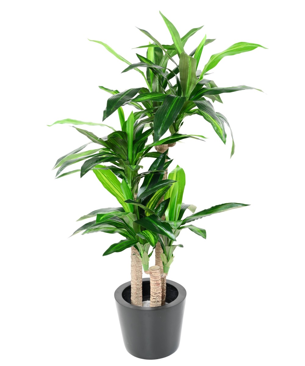 Kunstlill DRACAENA FRAGRANS 135 (tüvedel)