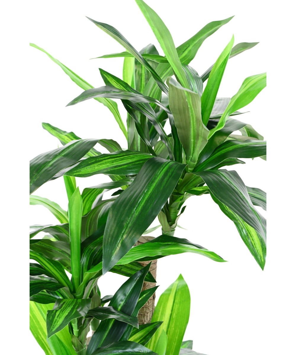 Kunstlill DRACAENA FRAGRANS 135 (tüvedel)