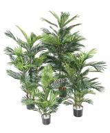 Artificial ARECA TREE