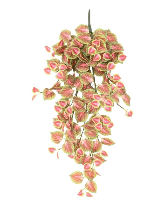 Kunstlik rippuv COLEUS põõsas 96 R