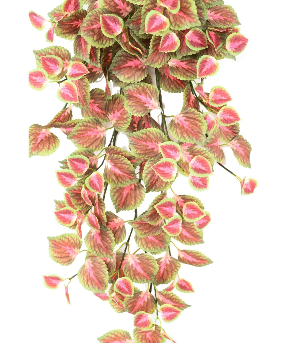 Kunstlik rippuv COLEUS põõsas 96 R