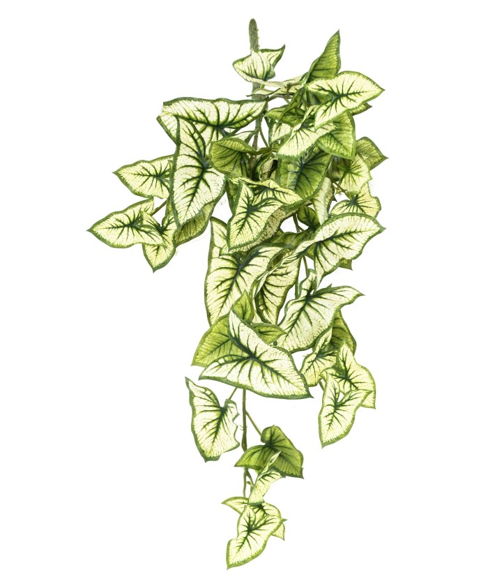 Kunstlik SYNGONIUM RIPPUVÕÕSAS 60