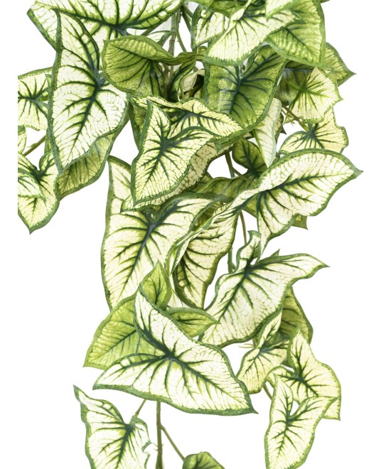 Kunstlik SYNGONIUM RIPPUVÕÕSAS 60
