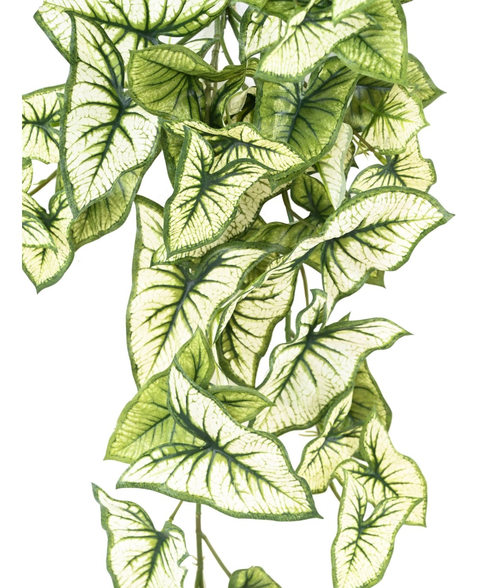 Kunstlik SYNGONIUM RIPPUVÕÕSAS 60