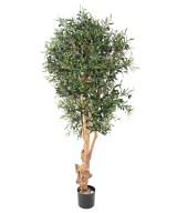 Artificial Olive Tree KNOTTY TRUNK