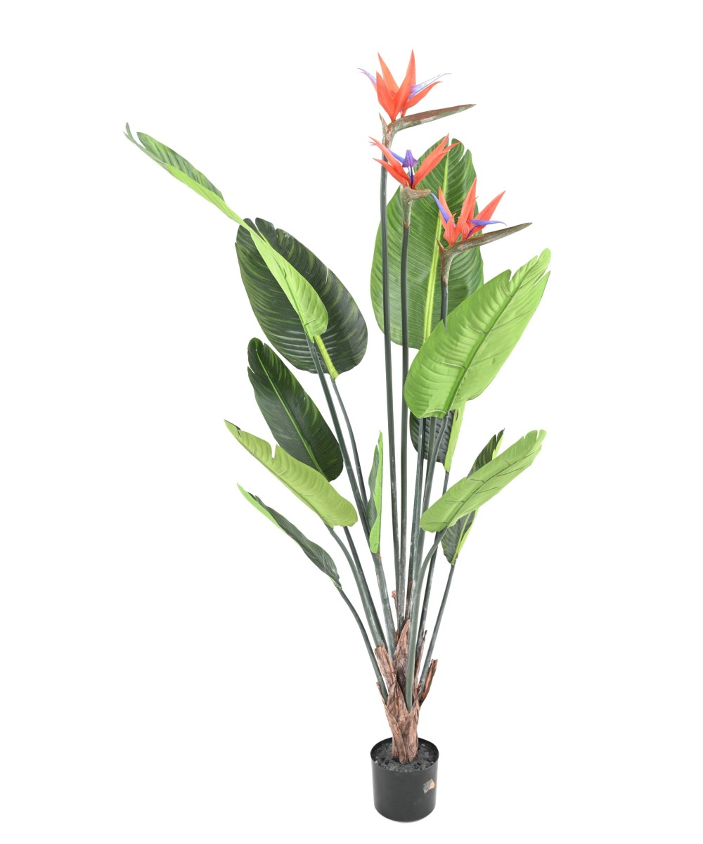 Artificial STRELITZIA (Bird of paradise) 11L 3Fl 150