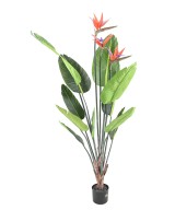 Artificial STRELITZIA (Bird of paradise) 11L 3Fl 150