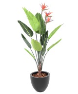 Artificial STRELITZIA (Bird of paradise) 11L 3Fl 150