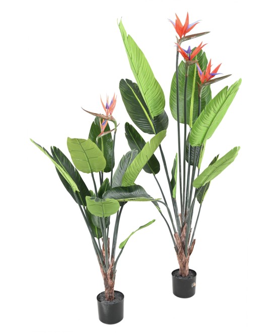Artificial STRELITZIA (Bird of paradise) 11L 3Fl 150