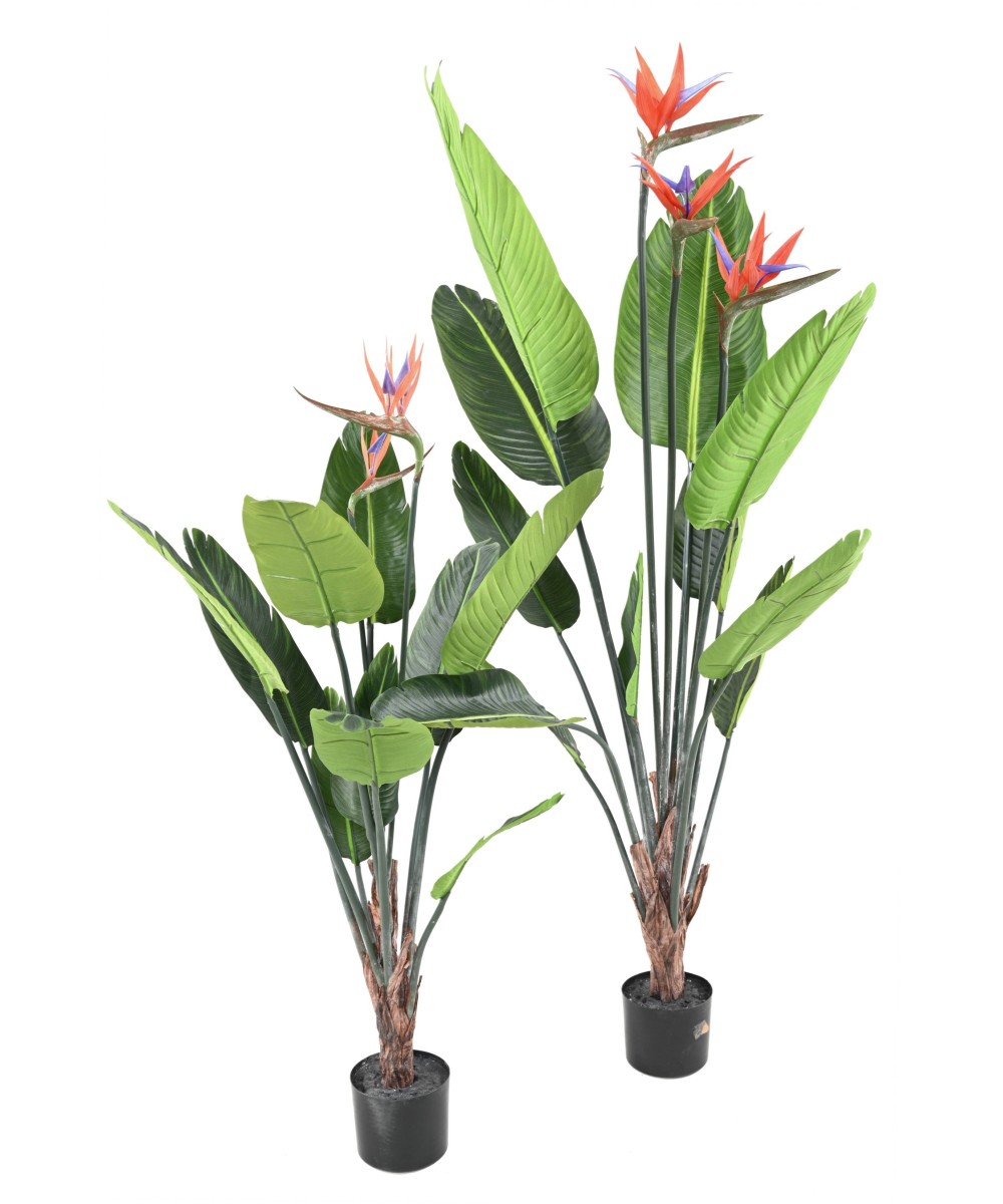 Artificial STRELITZIA (Bird of paradise) 11L 3Fl 150