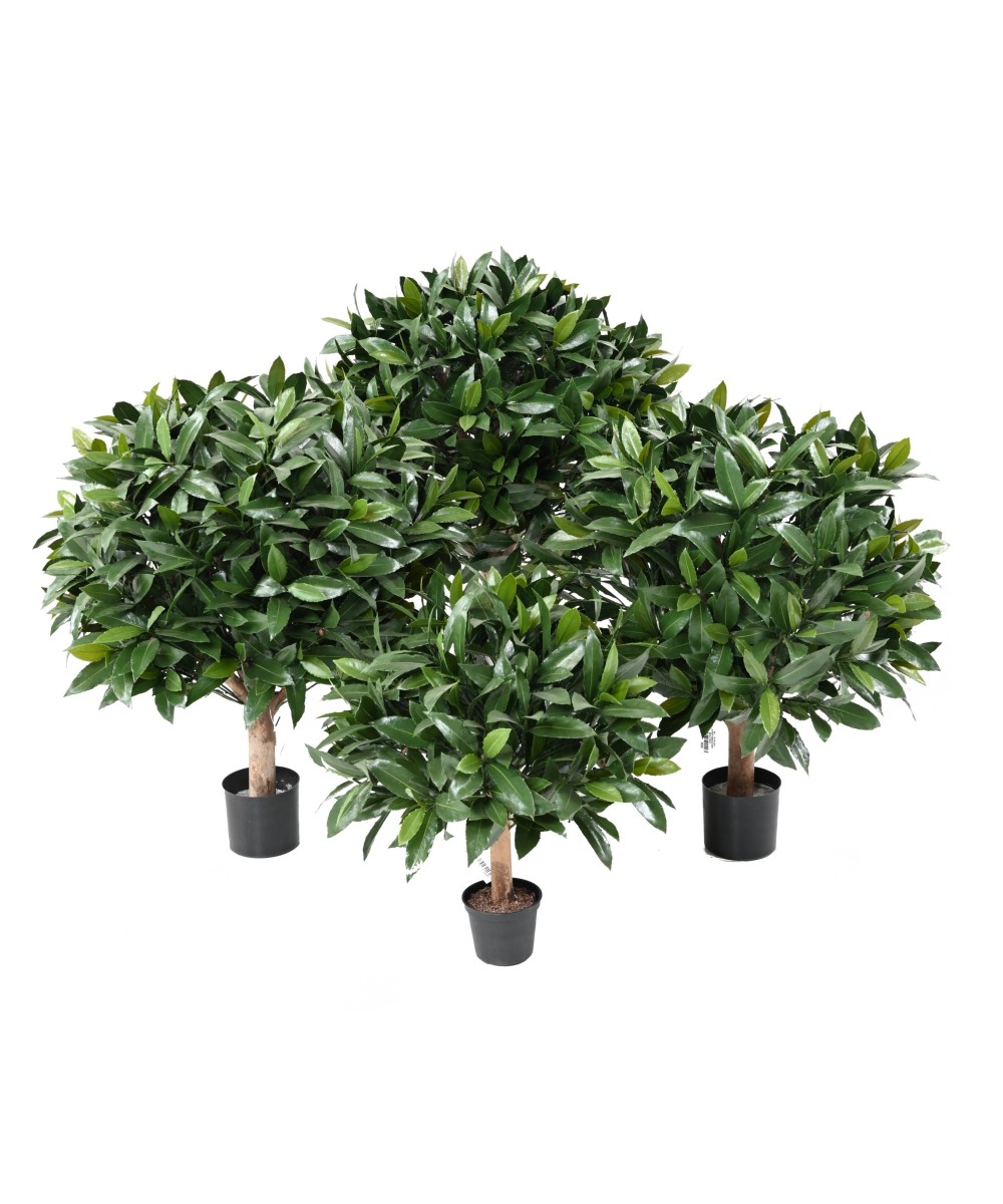 Artificial BAY LAUREL NEW BALL UV