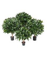 Artificial BAY LAUREL NEW BALL UV