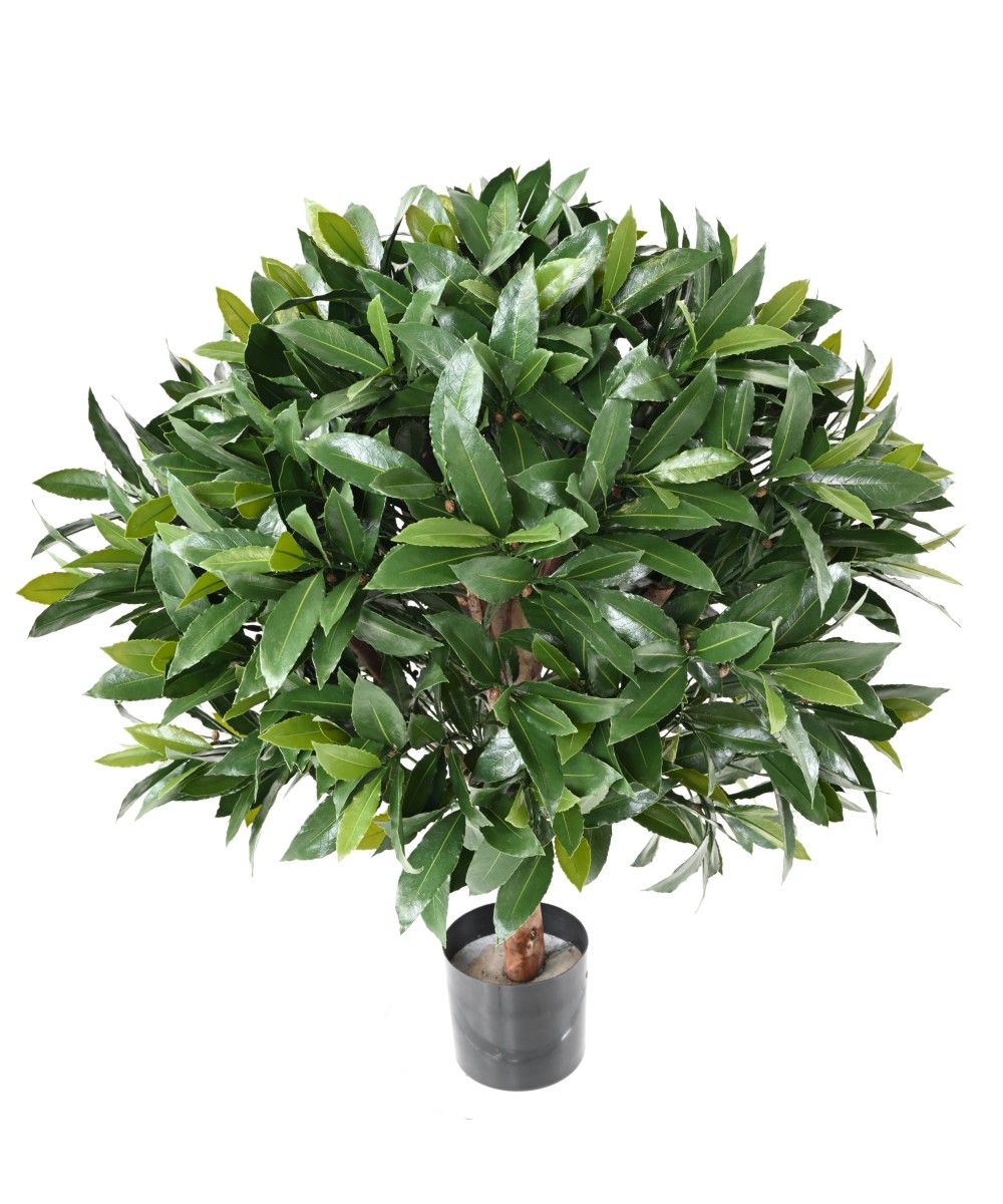Artificial BAY LAUREL NEW BALL UV
