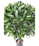 Artificial BAY LAUREL NEW BALL UV