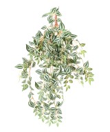 Kunsttradeskantsia 70