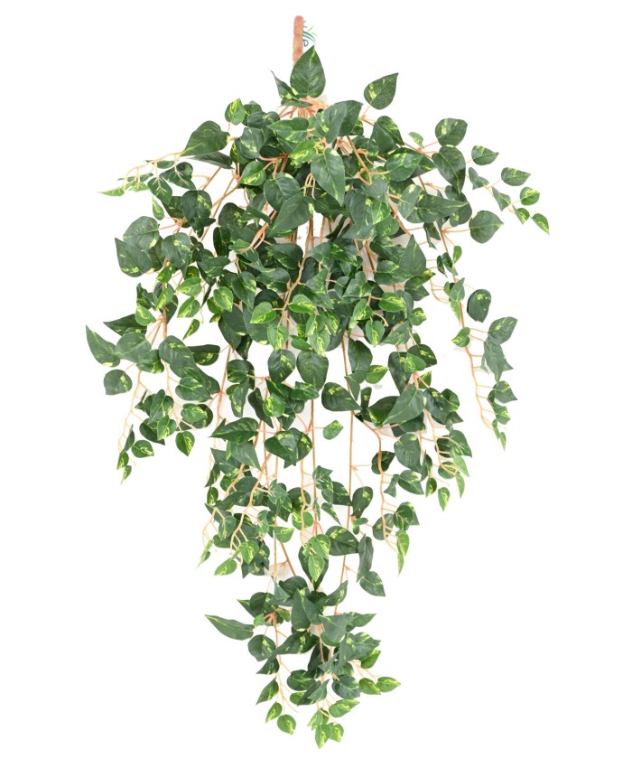 Artificial MINI POTHOS 70