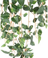 Artificial MINI POTHOS 70