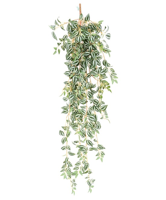 Kunsttradeskantsia 110