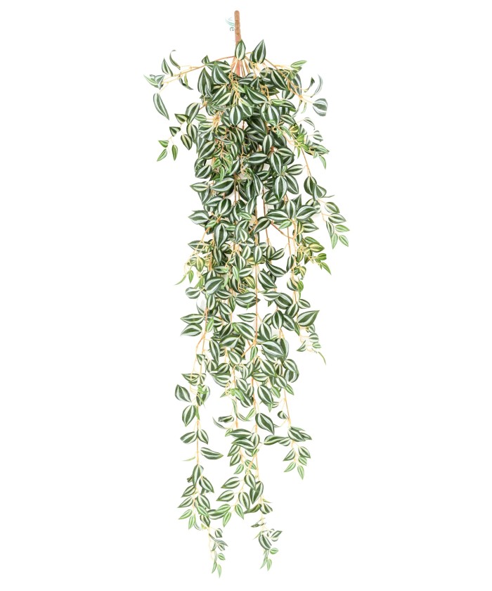 Kunsttradeskantsia 110