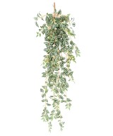 Kunsttradeskantsia 110