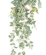 Kunsttradeskantsia 110