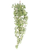 Kunsttradeskantsia 110